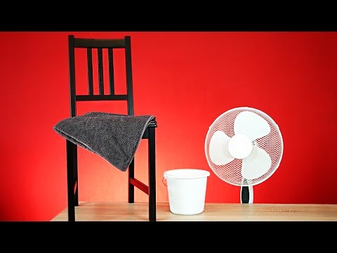 YouTube-Video-Thumbnail