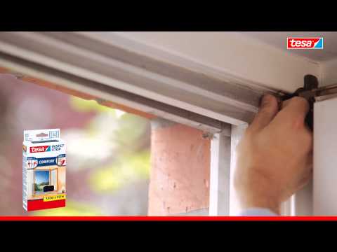 YouTube-Video-Thumbnail