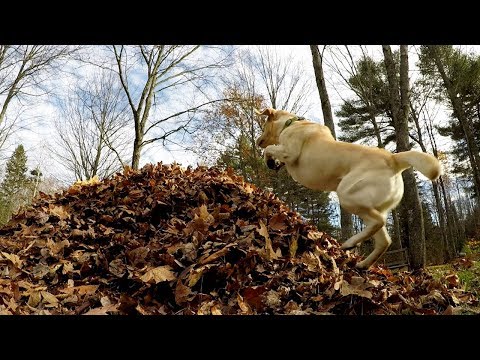 YouTube-Video-Thumbnail